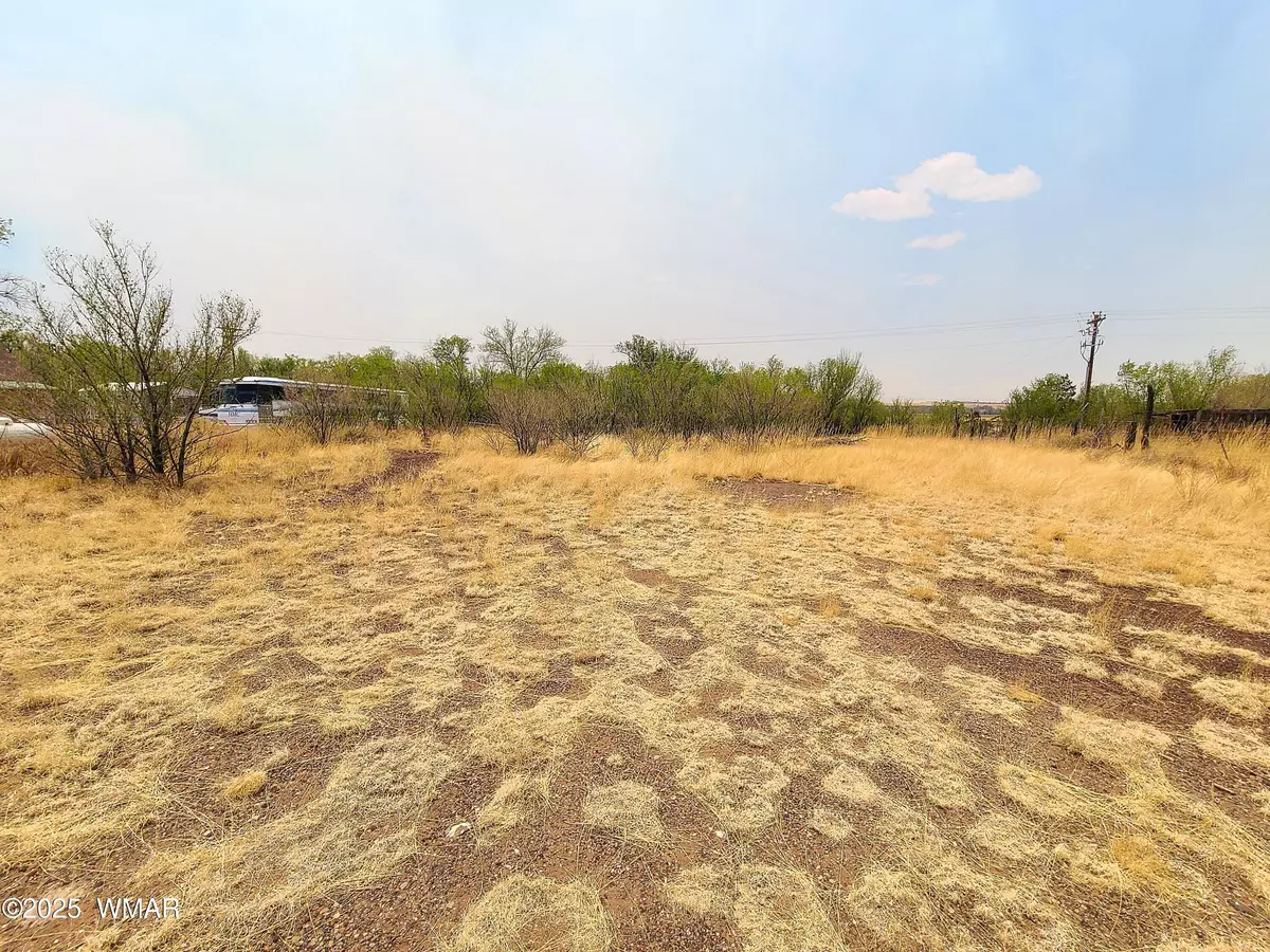 Springerville, AZ 85938,S Coconino Street