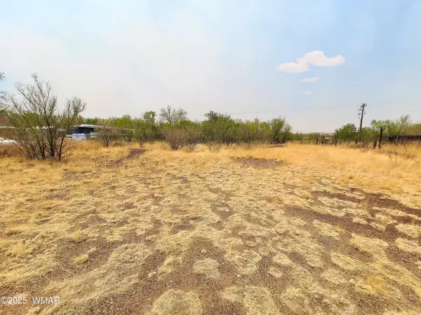 S Coconino Street, Springerville, AZ 85938