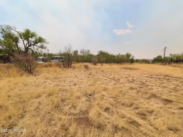 Springerville, AZ 85938,S Coconino Street
