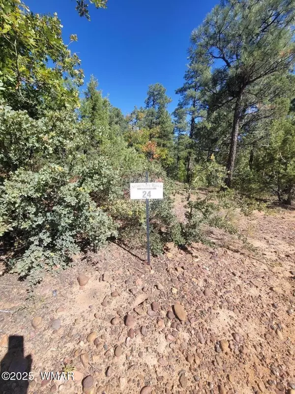 Lakeside, AZ 85929,6994 Leo Lane