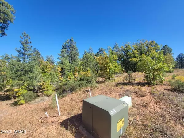 Lakeside, AZ 85929,6994 Leo Lane