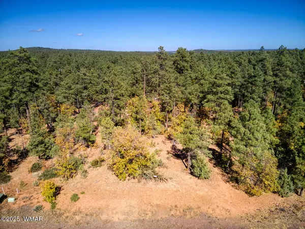 Lakeside, AZ 85929,6994 Leo Lane