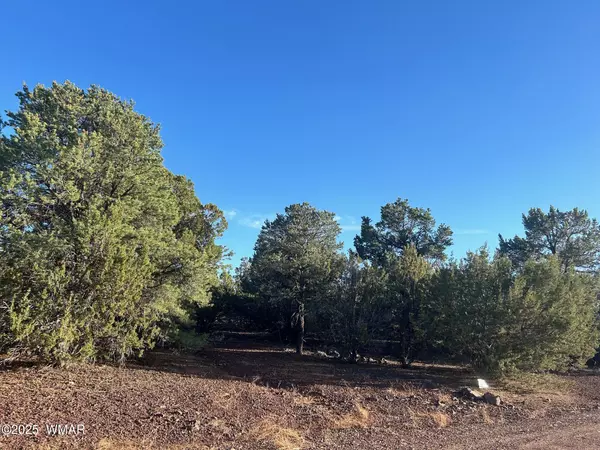 Vernon, AZ 85940,33 Ridgeview