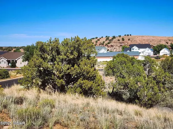 Snowflake, AZ 85937,1415 W Tumbleweed Trail