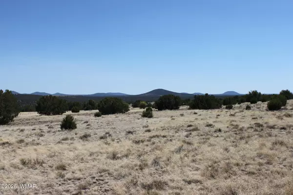 Concho, AZ 85924,36 County Road 8249