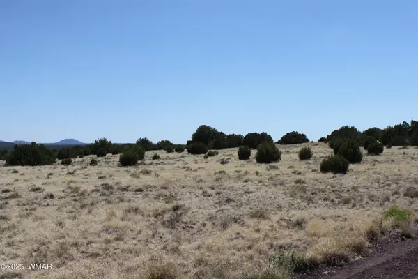 Concho, AZ 85924,36 County Road 8249