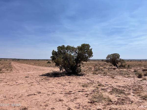 8191 E Concho Highway  Parcel E #Parcel E, Snowflake, AZ 85937