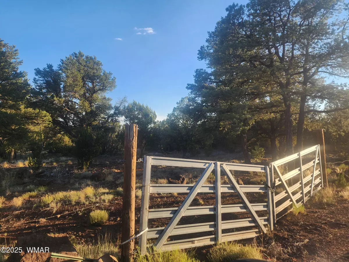 Vernon, AZ 85940,26 County Rd 3323