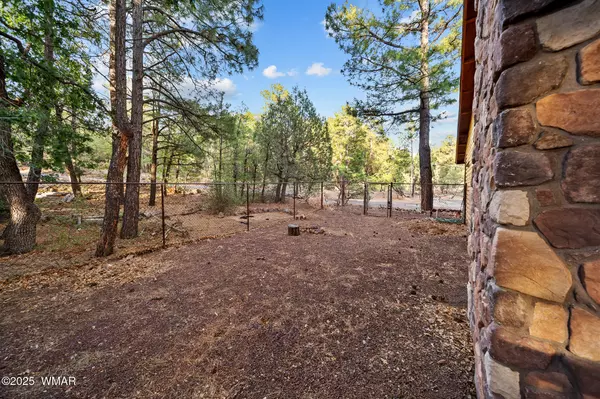 Lakeside, AZ 85929,990 N Springer Mountain Drive