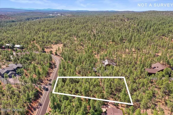 Show Low, AZ 85901,2280 S Bristlecone Drive