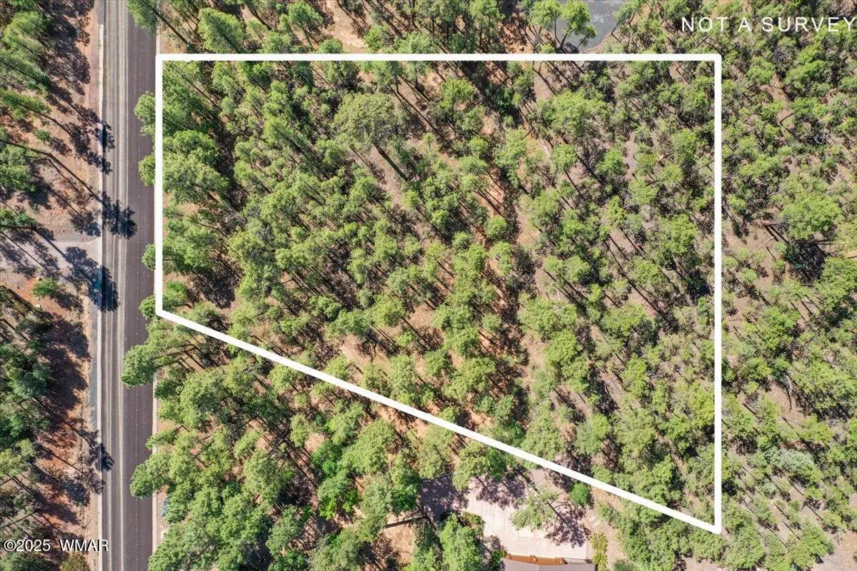 Show Low, AZ 85901,2280 S Bristlecone Drive