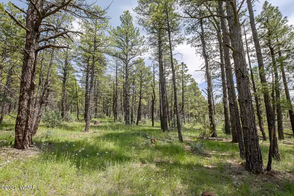Lakeside, AZ 85929,26027 Birdsong Way