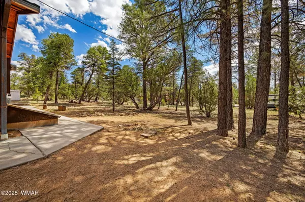 Overgaard, AZ 85933,2084 Indian Trail