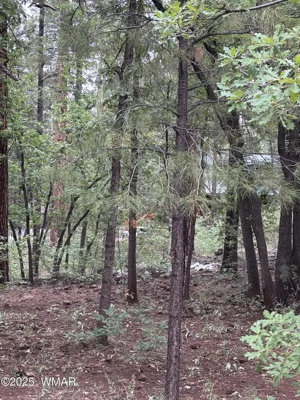 Pinetop, AZ 85935,3887 E Bermuda Circle