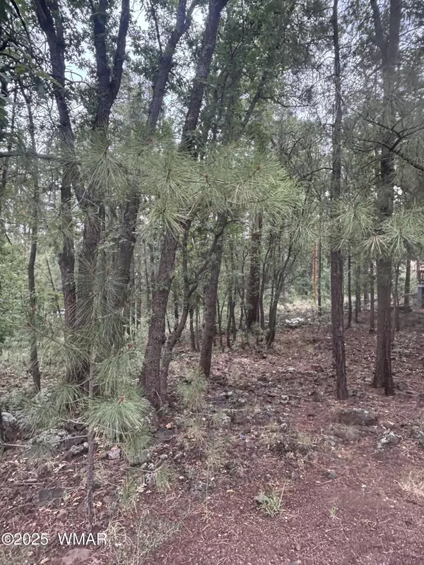 Pinetop, AZ 85935,3887 E Bermuda Circle