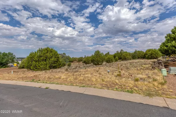 2200 E Rockgarden Lane, Show Low, AZ 85901