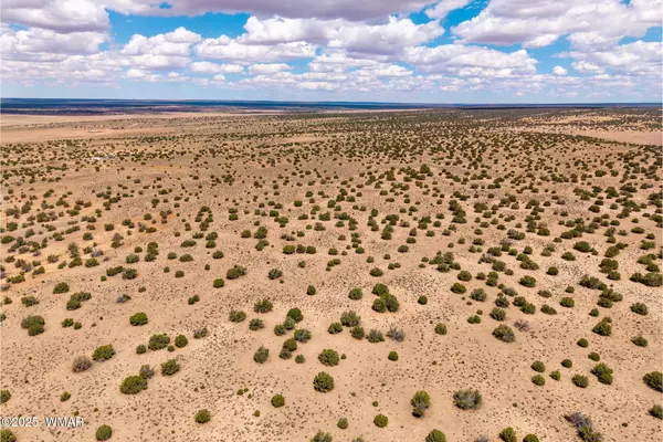 St. Johns, AZ 85936,Red Sky Ranch Lot 384