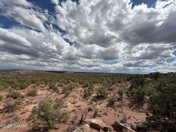 Snowflake, AZ 85937,8933 Blue Jay Lane