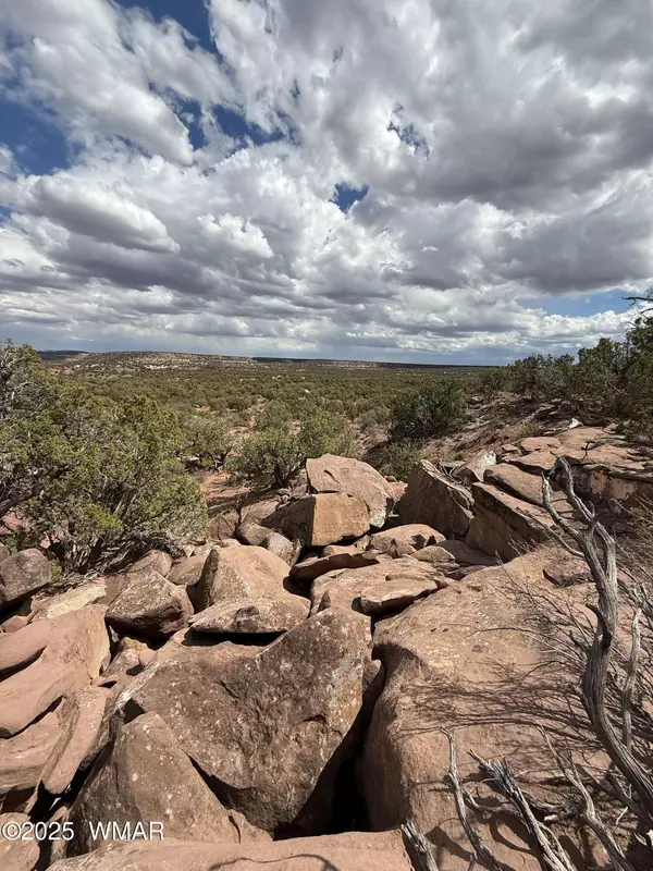 Snowflake, AZ 85937,8933 Blue Jay Lane