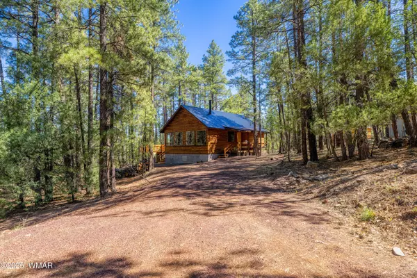 1551 S Blue Lane, Lakeside, AZ 85929