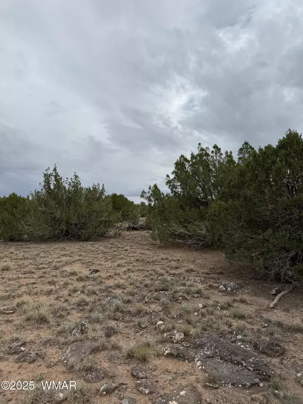 Concho, AZ 85924,55 Ponderosa Drive