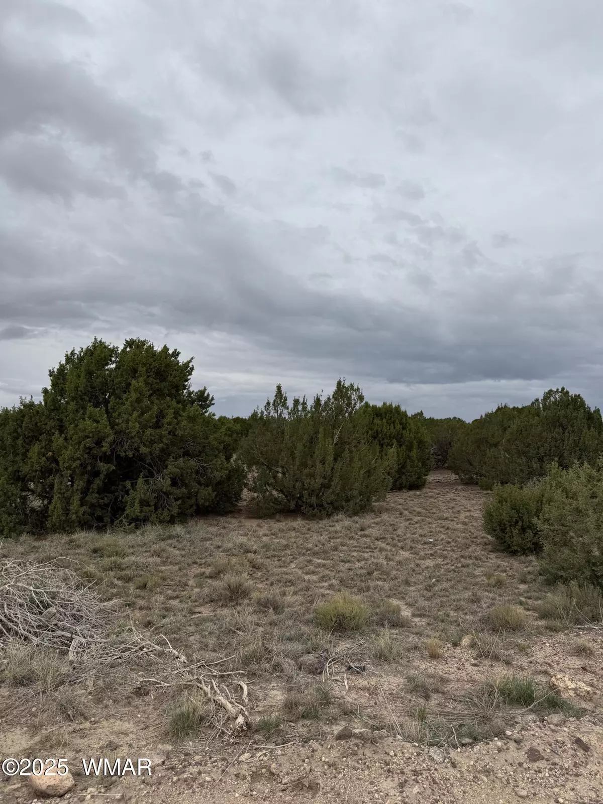 Concho, AZ 85924,55 Ponderosa Drive