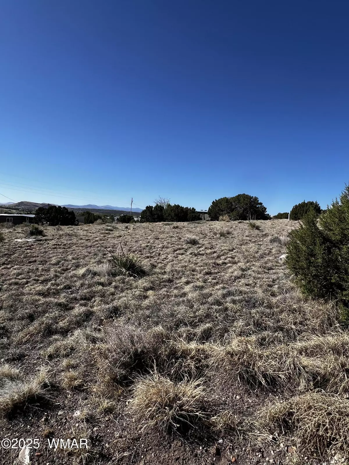 Concho, AZ 85924,58 Short Lane