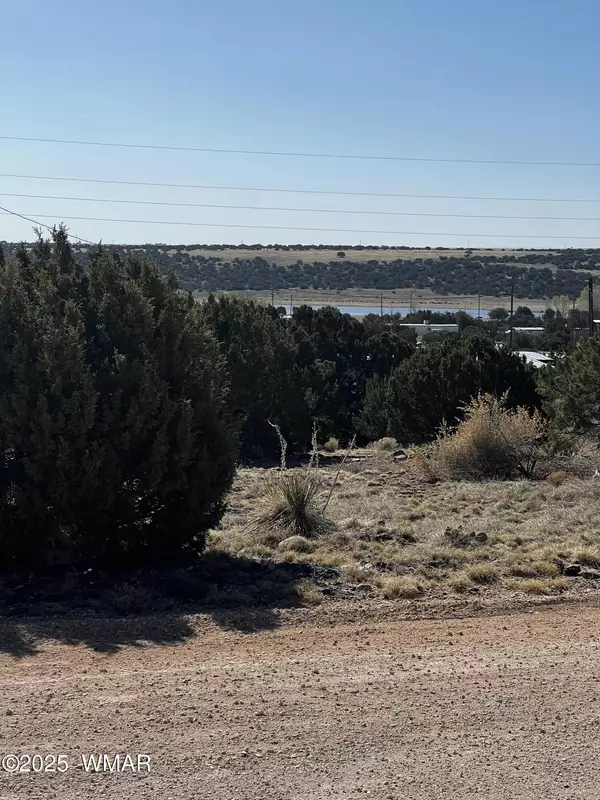 Concho, AZ 85924,58 Short Lane