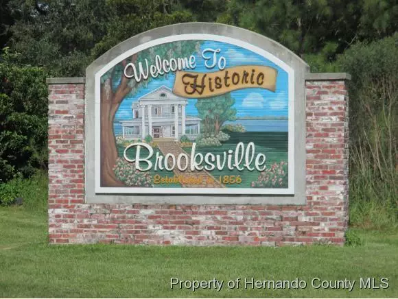 Brooksville, FL 34601,Olive Street