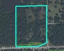 Brooksville, FL 34601,0 Wiscon Road