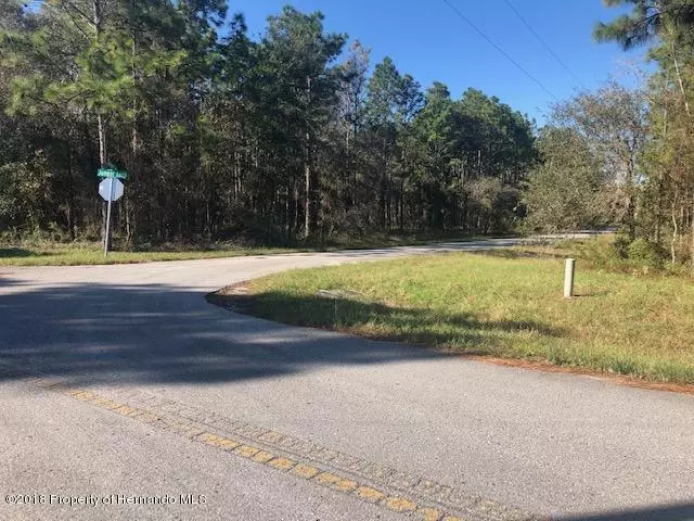 Brooksville, FL 34609,Jumper Loop (Divine Lot 3)