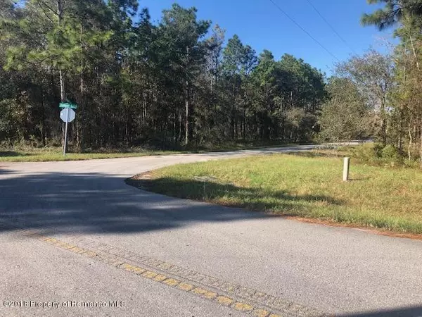 Jumper Loop (Divine Lot 3), Brooksville, FL 34609