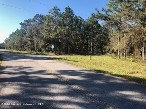 Brooksville, FL 34609,Jumper Loop (Divine Lot 12)