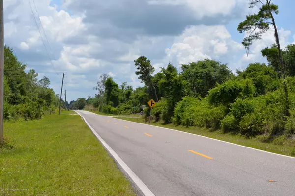 Brooksville, FL 34602,0 Batten Road