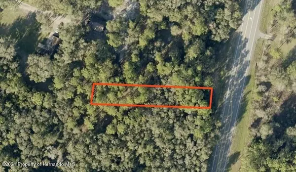 Ridge Manor, FL 33597,Treiman Boulevard