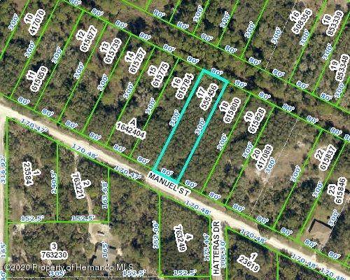 17 Manuel Street, Webster, FL 33597