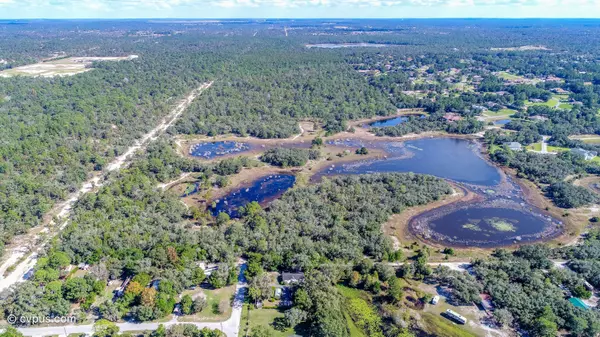 Weeki Wachee, FL 34613,Bourassa (15. 8 acres MOL) Boulevard