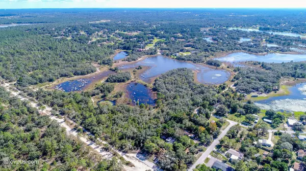 Weeki Wachee, FL 34613,Bourassa (10 acres MOL) Boulevard