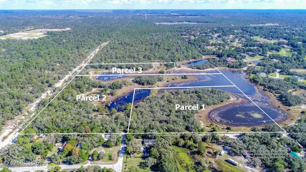 Bourassa (10 acres MOL) Boulevard, Weeki Wachee, FL 34613