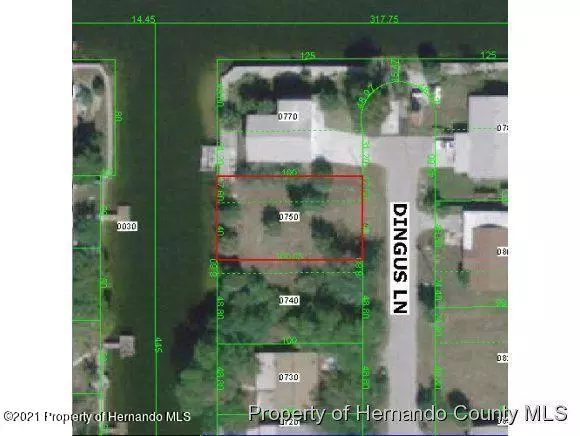 75 Dingus Lane, Hudson, FL 34667