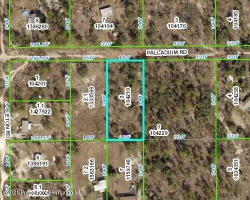 2 Palladium Road, Brooksville, FL 34613