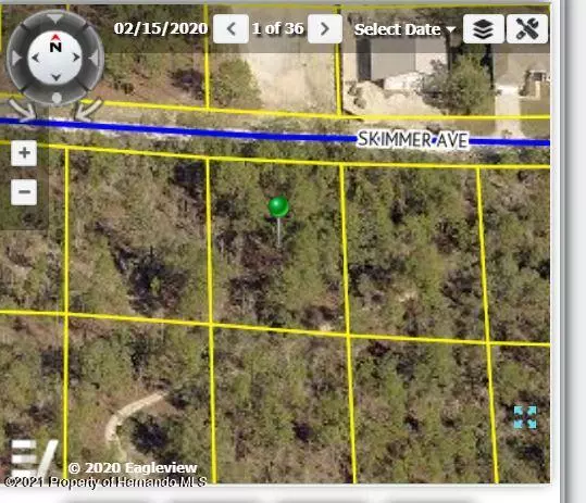 12102 SKIMMER Avenue, Brooksville, FL 34614