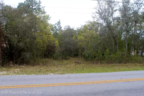 12242 Knuckey Road, Weeki Wachee, FL 34614