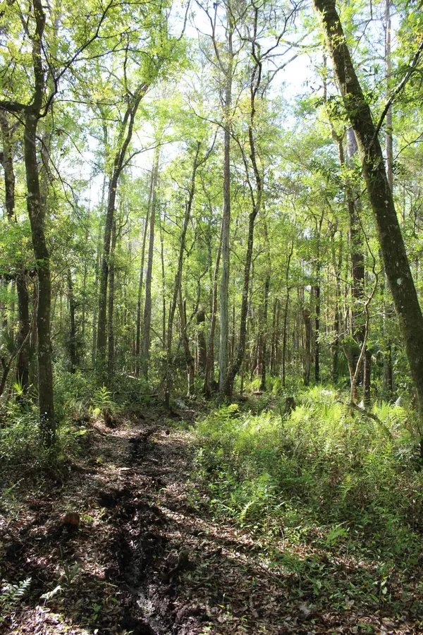 Homosassa, FL 34448,1500 S Candlenut &1627 S Palm Ave