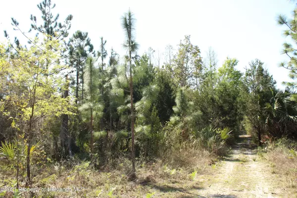 Crystal River, FL 34429,1267 N Jorie Terrace