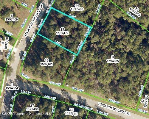 0 MAJESTIC HILLS Loop, Brooksville, FL 34601