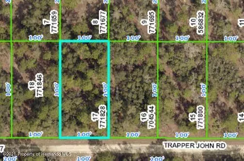 Brooksville, FL 34614,13249 TRAPPER JOHN Road