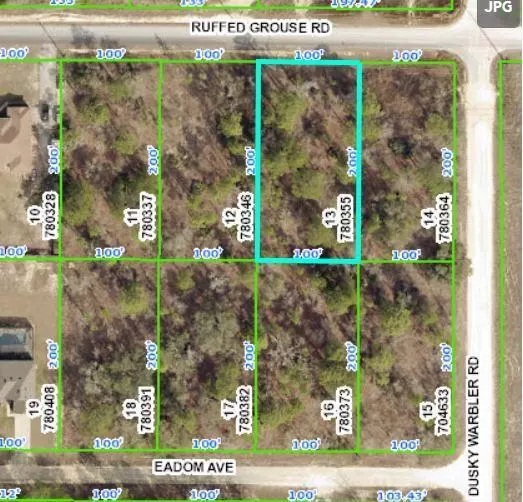 13404 RUFFED GROUSE Road, Brooksville, FL 34614