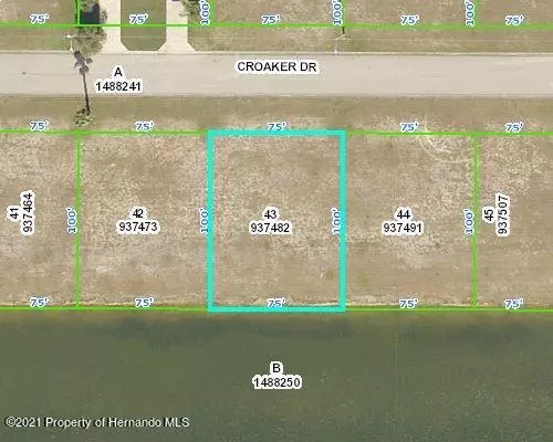 3392 Croaker Drive, Hernando Beach, FL 34607