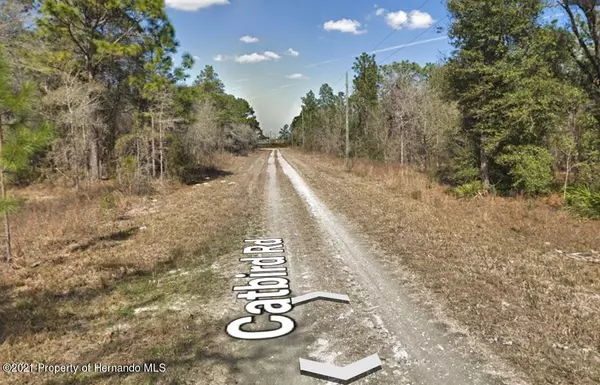 Weeki Wachee, FL 34614,14 Catbird Road